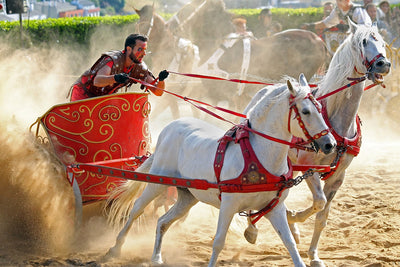 Chariot Racing: Ancient History’s Most Dangerous Sport