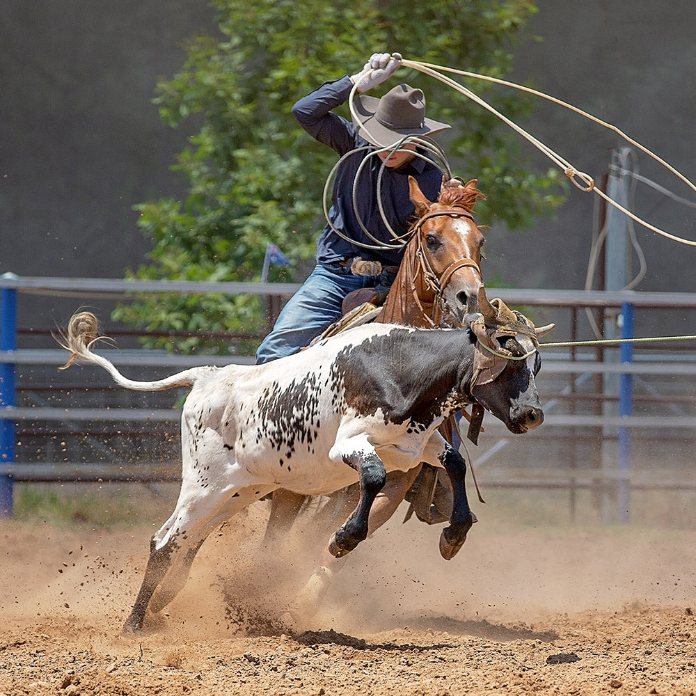roping.jpg__PID:07ebc52d-72c4-44ac-8219-a5c6bdc6cf9f